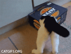 173a2e86a008360426af3c72f6cb14a6efd470abce80a183550824c7c8963dd0